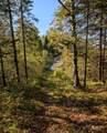 11355 Price Lake Rd - Photo 59