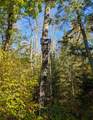 11355 Price Lake Rd - Photo 62