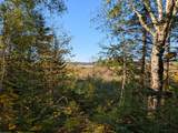 11355 Price Lake Rd - Photo 65