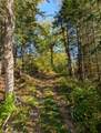 11355 Price Lake Rd - Photo 67