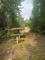 8380 Harris Lake Rd - Photo 33