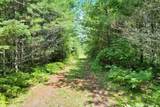 20 ac Spirit Wood Tr - Photo 6