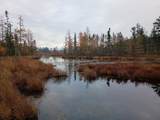 9291 Rock Lake Rd - Photo 42
