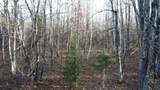 N9640 Sunset Point Rd - Photo 47