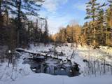 Off Forest Rd - Photo 33