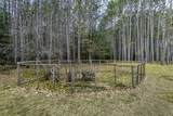 8796 Curtis Lake Dr - Photo 15