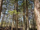 2122 Forest Dr - Photo 28