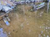 6075 Beatons Lake Rd E - Photo 19