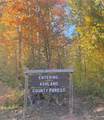 76096 Lake Galilee Rd - Photo 38