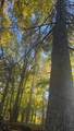 76096 Lake Galilee Rd - Photo 40