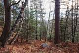 9335 Little Bearskin Creek Rd - Photo 40