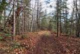 9335 Little Bearskin Creek Rd - Photo 41