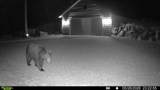 9335 Little Bearskin Creek Rd - Photo 54