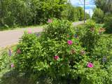 1001 Tilden Rd - Photo 23