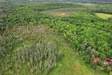 28 Acres Bear Trl - Photo 5