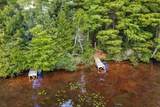 Off Big Lake Loop Rd - Photo 14