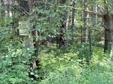 40 Ac Sunrise Rd - Photo 11
