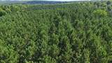 40 Ac Sunrise Rd - Photo 9