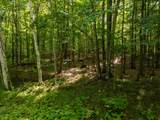 Lot 8 Smoky Lake Dr - Photo 3
