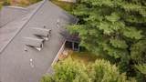 102 Aquila Ct - Photo 35