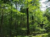 Lot #6 Bills Lake Rd - Photo 1