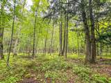 10 acres Bass Lake Rd - Photo 11