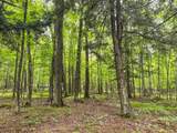 10 acres Bass Lake Rd - Photo 12