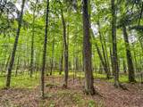 10 acres Bass Lake Rd - Photo 2