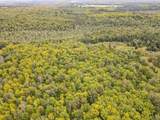 10 acres Bass Lake Rd - Photo 3