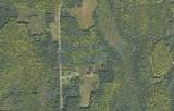 10 acres Bass Lake Rd - Photo 4