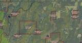 10 acres Bass Lake Rd - Photo 5