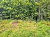 10 acres Bass Lake Rd - Photo 6