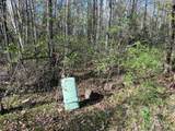 Lot 9&10 Pfeifer Rd - Photo 12