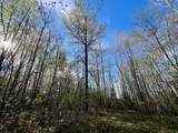 Lot 9&10 Pfeifer Rd - Photo 15