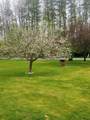 N4443 Crappie Rd - Photo 47