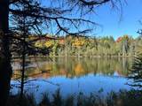 8380 Harris Lake Rd - Photo 50