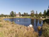 12248 Dupont Rd - Photo 17