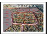 Lot 18 Butternut Cir - Photo 3