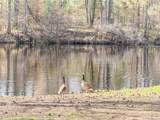 N9076 Old Bridge Rd - Photo 9