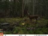 W9798 Fleming Rd - Photo 54