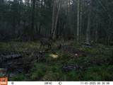 W9798 Fleming Rd - Photo 55