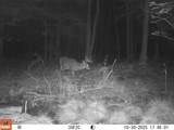 W9798 Fleming Rd - Photo 74