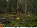 W9798 Fleming Rd - Photo 75