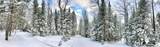 1425-31 Cth A - Photo 65