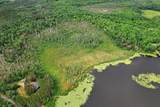 28 Acres Bear Trl - Photo 4