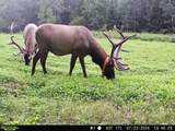 18014 Griffith Rd - Photo 11