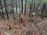 2209 White Rd - Photo 62