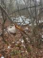 2209 White Rd - Photo 65