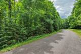 28 Acres Bear Trl - Photo 1