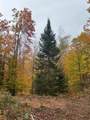 15744 Double B Ln - Photo 42